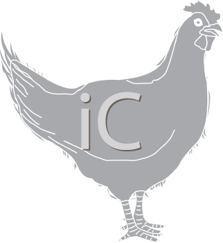 Bird Clipart