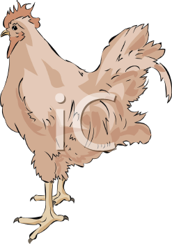Farm Animal Clipart