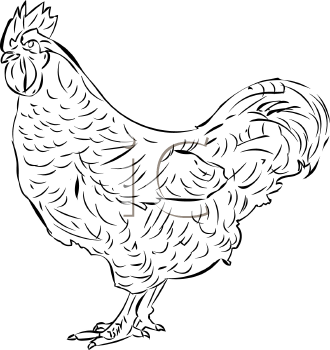 Farm Animal Clipart