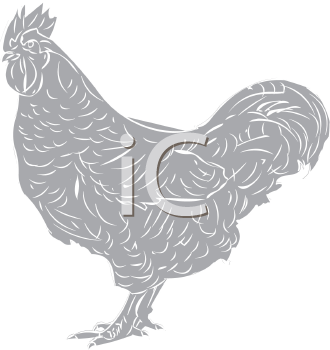 Farm Animal Clipart
