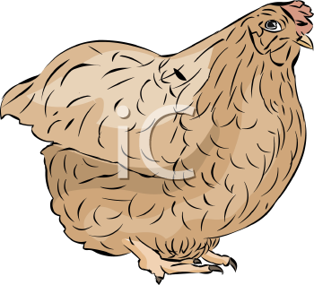 Farm Animal Clipart