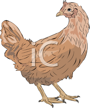 Farm Animal Clipart
