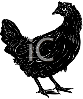 Bird Clipart