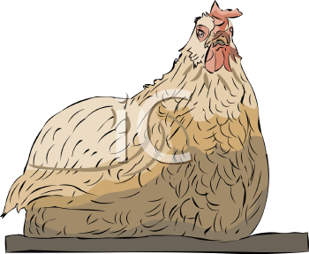 Farm Animal Clipart