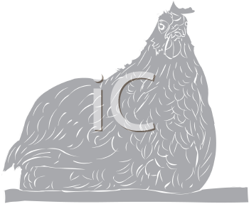 Bird Clipart