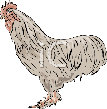 Farm Animal Clipart