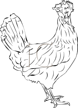 Farm Animal Clipart