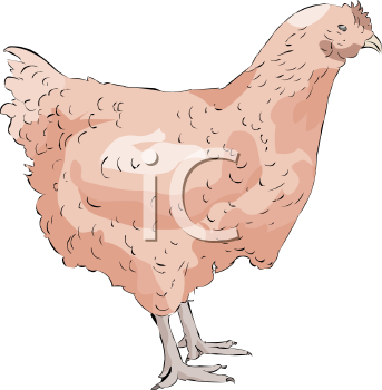 Farm Animal Clipart