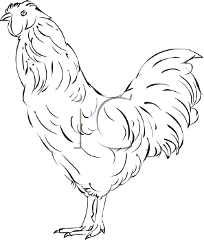 Farm Animal Clipart