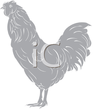 Bird Clipart
