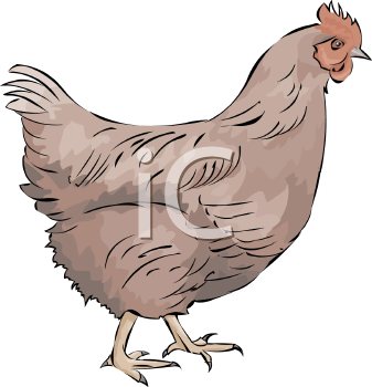 Bird Clipart