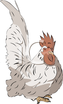 Bird Clipart