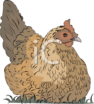 Farm Animal Clipart