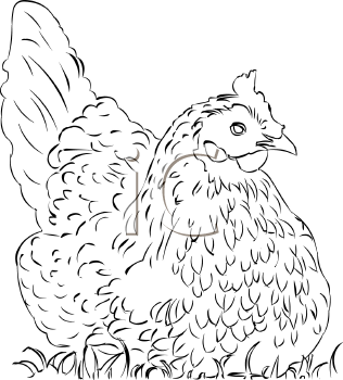 Farm Animal Clipart