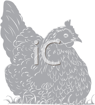 Bird Clipart