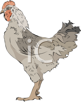 Bird Clipart