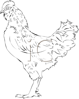 Farm Animal Clipart
