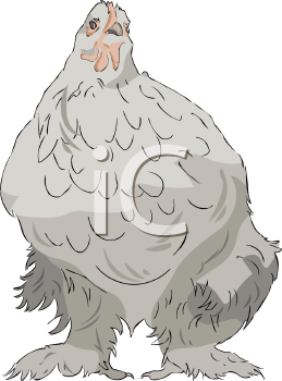 Farm Animal Clipart