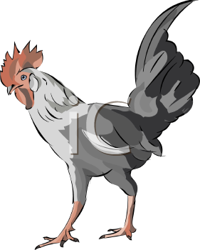 Farm Animal Clipart