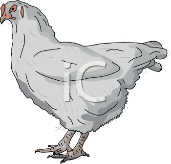 Farm Animal Clipart