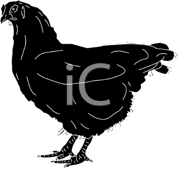 Bird Clipart