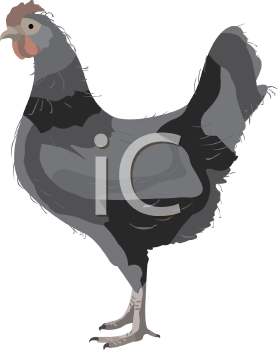 Farm Animal Clipart
