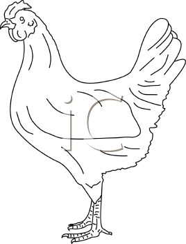 Farm Animal Clipart