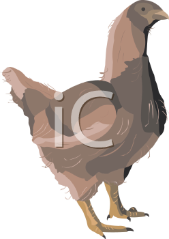 Bird Clipart