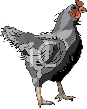 Farm Animal Clipart