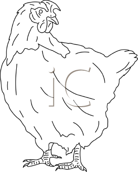 Farm Animal Clipart