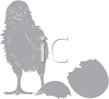 Farm Animal Clipart