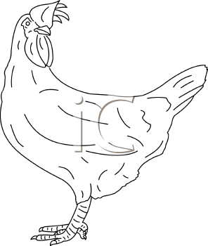 Farm Animal Clipart