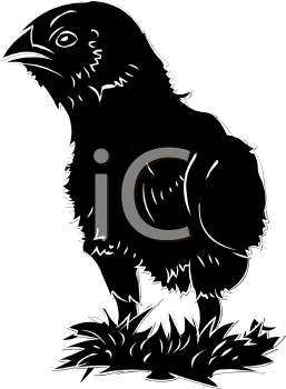 Farm Animal Clipart