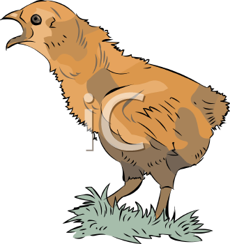 Farm Animal Clipart