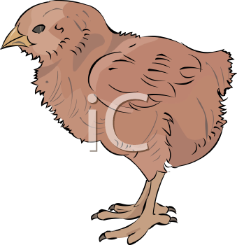 Farm Animal Clipart