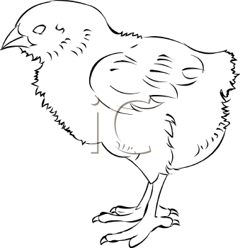 Farm Animal Clipart