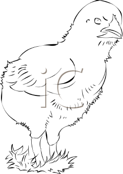 Farm Animal Clipart