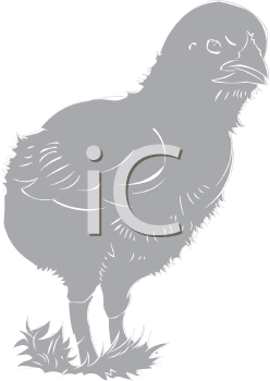 Farm Animal Clipart