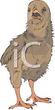 Farm Animal Clipart