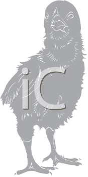 Farm Animal Clipart