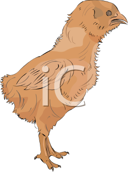 Farm Animal Clipart