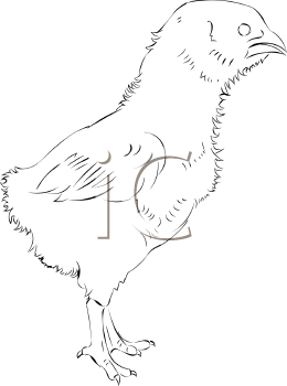 Farm Animal Clipart