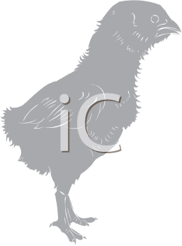 Farm Animal Clipart