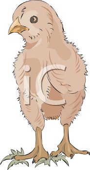Farm Animal Clipart