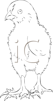 Farm Animal Clipart