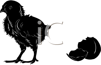 Farm Animal Clipart