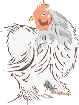 Bird Clipart