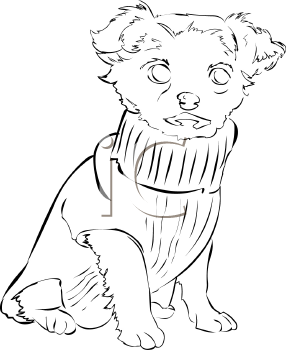 Pet Clipart