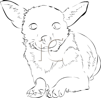 Pet Clipart