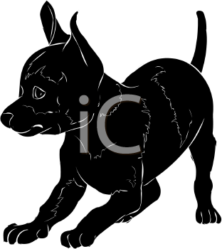 Pet Clipart